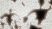 みんな死んでる・・・私が殺した?