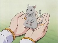 メグミさんを、守ってね
